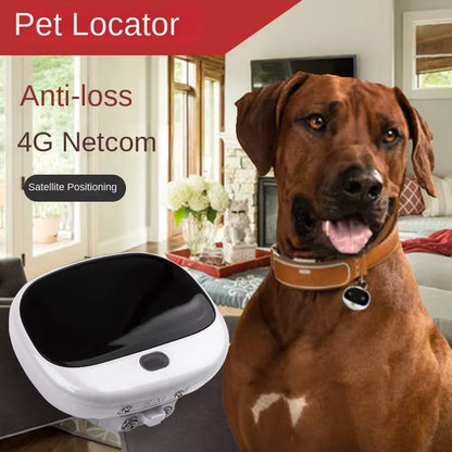4G GPS Personal Tracker Mini GPS Pets Tracker 4G LTE 2G GSM Best Dog Gps Tracker with Free APP Waterproof RF-V43